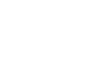 Nussy_Logo2_White-2048x1873